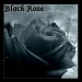 Hm, a další černá růže